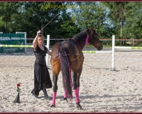 2-13JUIN 0081